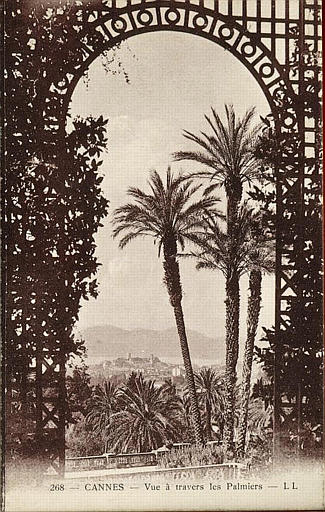 268 CANNES - VUE A TRAVERS LES PALMIERS_0