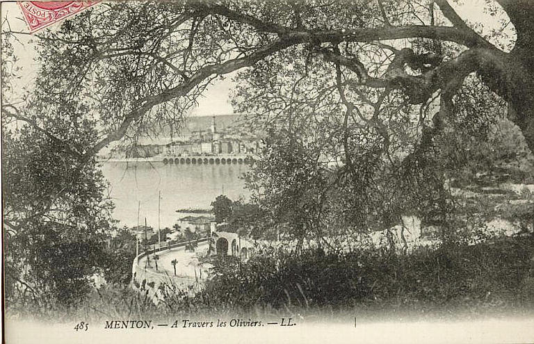 485 MENTON - A TRAVERS LES OLIVIERS_0