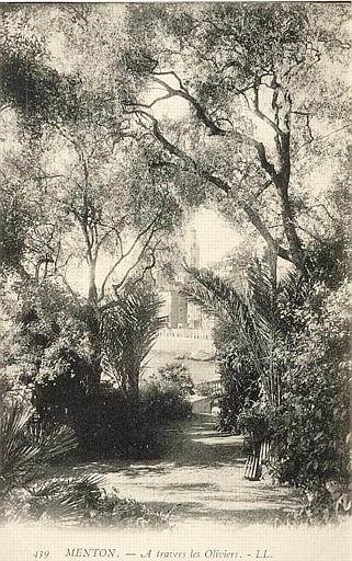 439 MENTON - A TRAVERS LES OLIVIERS_0