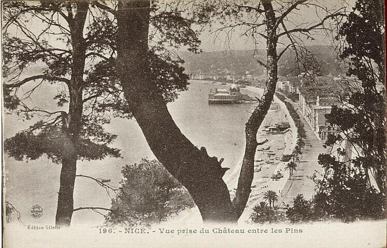 196 NICE - VUE PRISE DU CHATEAU ENTRE LES PINS_0