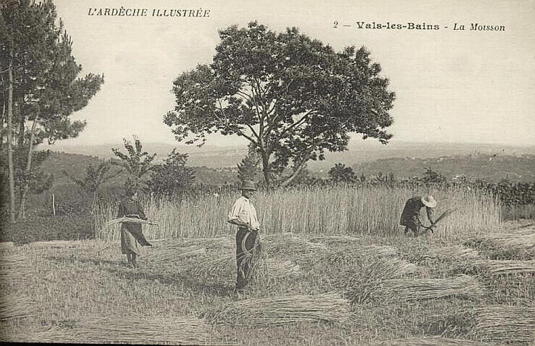 L'ARDECHE ILLUSTREE / 2 - VALS-LES-BAINS - LA MOISSON_0