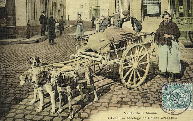 Vallée de la Meuse / GIVET - Attelage de Chiens Ardennais_0