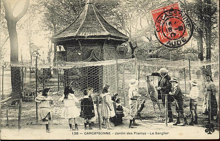 126 - CARCASSONNE - Jardin des Plantes - Le Sanglier_0
