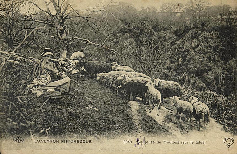 L'AVEYRON PITTORESQUE / 2049. GARDEUSE DE MOUTONS (SUR LE TALUS)_0