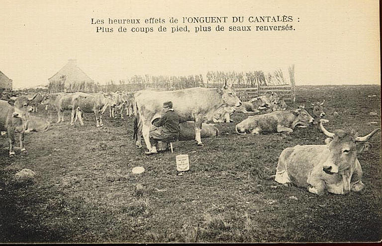 LES HEUREUX EFFETS DE L'ONGUENT DU CANTALES_0