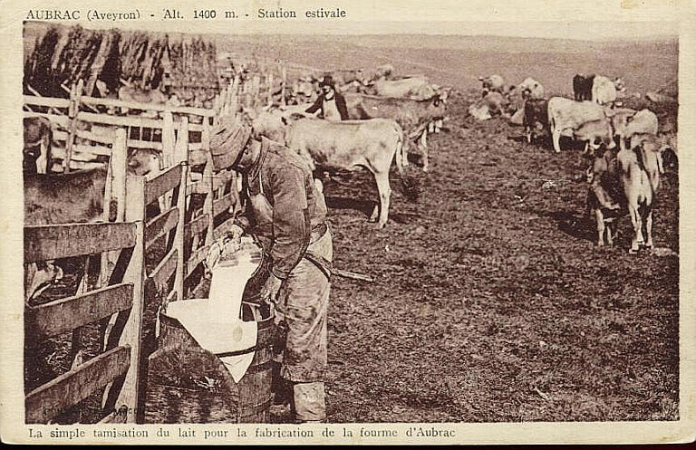 AUBRAC (AVEYRON) - ALT. 1400 M - STATION ESTIVALE - LA SIMPLE TAMISATION DU LAIT POUR LA FOURME D'AUBRAC_0