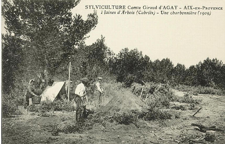 SYLVICULTURE COMTE GIRAUD D'AGAY - AIX-EN-PROVENCE - PLAINES D'ARBOIS (CABRIES ) - UNE CHARBONNIERE (1909)_0