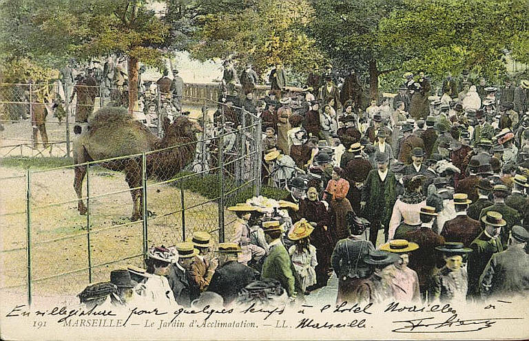 191 MARSEILLE - LE JARDIN D'ACCLIMATATION_0
