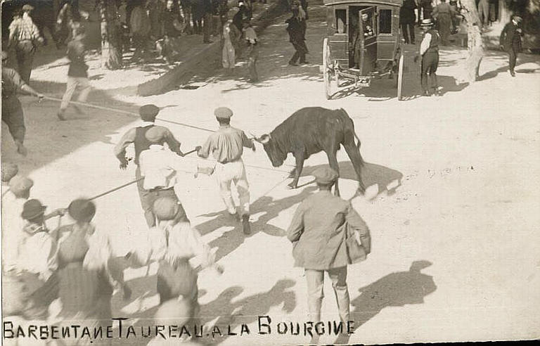 BARBENTANE - TAUREAU A LA BOURGINE_0