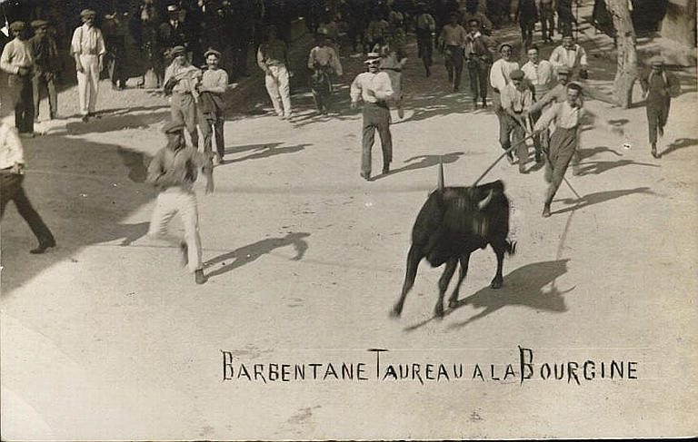 BARBENTANE - TAUREAU A LA BOURGINE_0