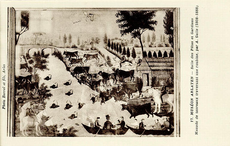 17. MUSEON ARLATEN - Salle des Pâtres et Gardians / Manade de taureaux traversant une roubine, par A. Galle (1808-1888)_0