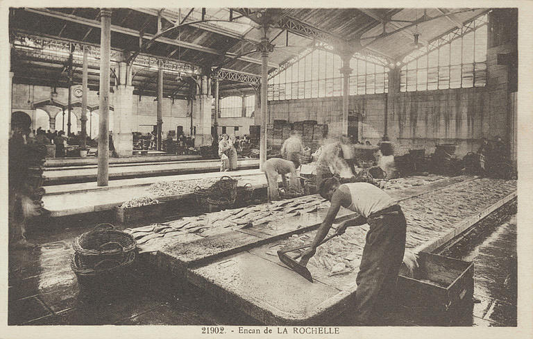 21902 - ENCAN DE LA ROCHELLE_0