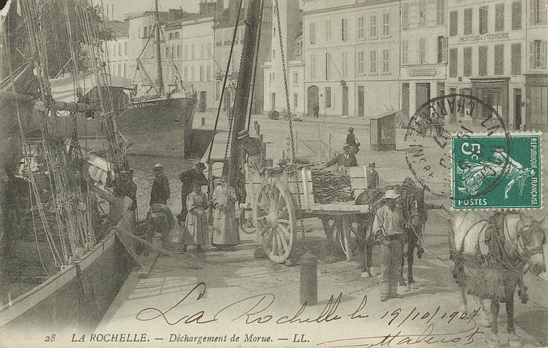 28 LA ROCHELLE - DECHARGEMENT DE MORUES_0