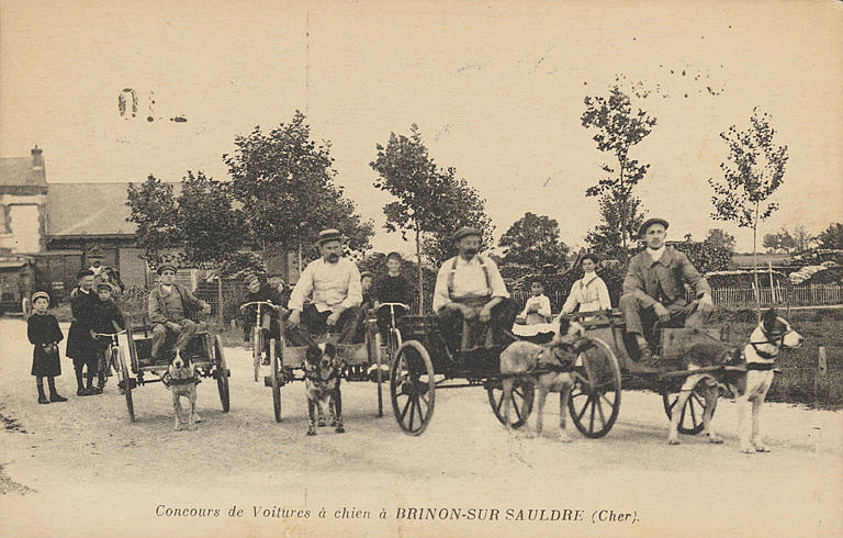 CONCOURS DE VOITURES A CHIEN A BRINON-SUR-SAULDRE (CHER)_0