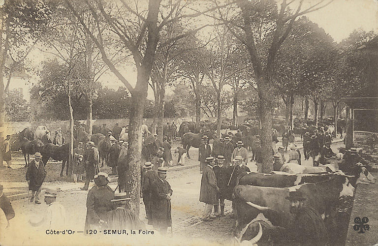 COTE-D'OR - 120 - SEMUR, LA FOIRE_0