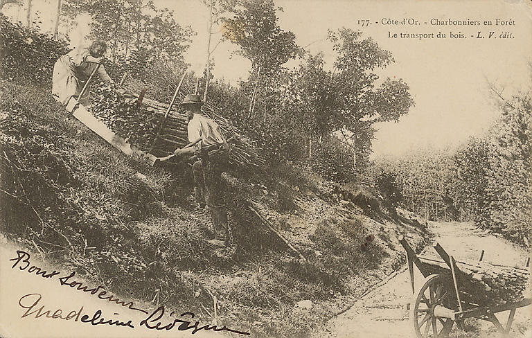 177. - COTE-D'OR. - CHARBONNIERS EN FORET - LE TRANSPORT DU BOIS_0