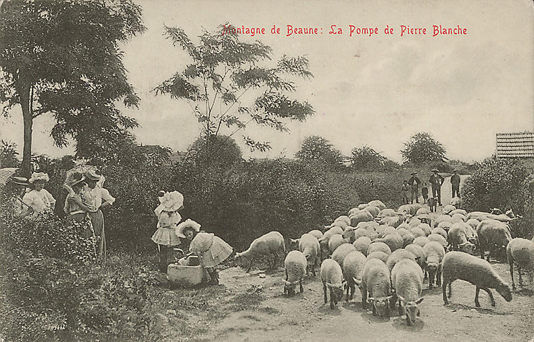 MONTAGNE DE BEAUNE : LA POMPE DE PIERRE BLANCHE_0