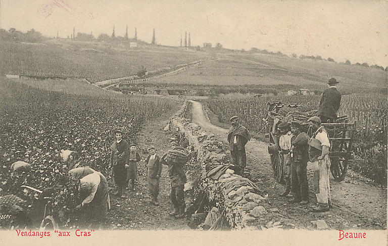 BOURGOGNE - CHATEAU DE CORTON-ANDRE - P.-A. ANDRE, PROPRIETAIRE, ALOXE-CORTON_0