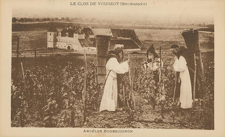 LE CLOS DE VOUGEOT (BOURGOGNE) - ANGELUS BOURGUIGNON_0