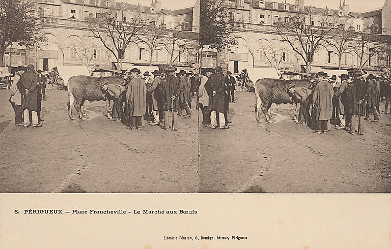 6. PERIGUEUX - PLACE FRANCHEVILLE - LE MARCHE AUX BOEUFS_0