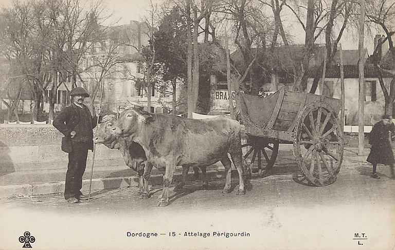 DORDOGNE - 15 - ATTELAGE PERIGOURDIN_0
