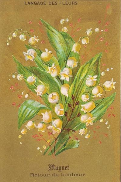LANGAGE DES FLEURS / Muguet / Retour du bonheur (titre inscrit)_0