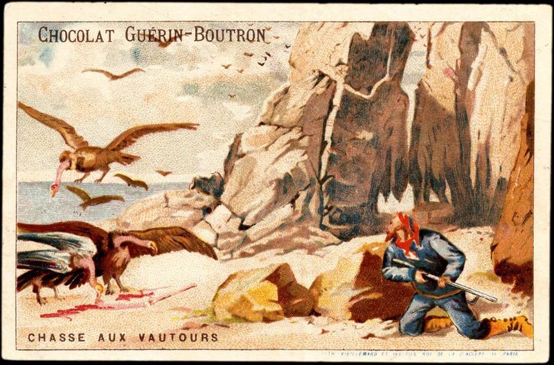 CHASSE AUX VAUTOURS (titre inscrit)_0