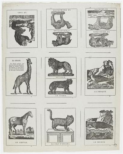 Planche d'animaux (titre factice)_0