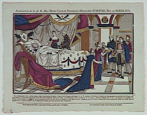 NAISSANCE DE S.A.R.MGR.HENRI CHARLES FERDINAND DIEUDONNE D'ARTOIS, DUC DE BORDEAUX (titre inscrit)_0