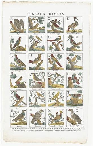 OISEAUX DIVERS. (titre inscrit)_0