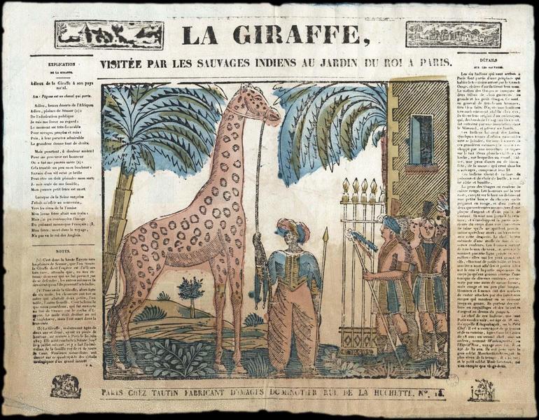 LA GIRAFFE, / VISITEE PAR LES SAUVAGES INDIENS AU JARDIN DU ROI A PARIS. (sic) (titre inscrit)_0
