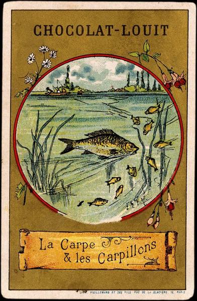 La Carpe / & les Carpillons (titre inscrit)_0