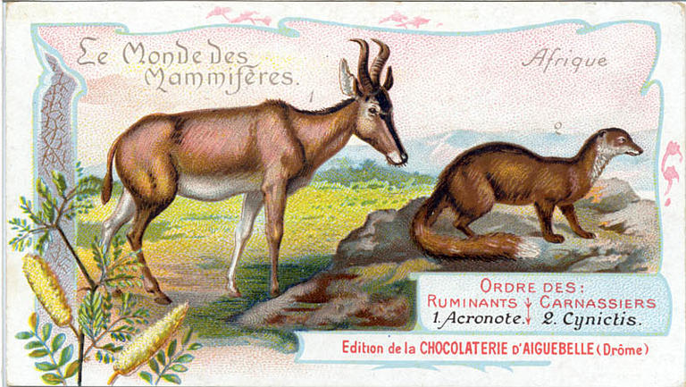 Le Monde des Mammifères (titre inscrit)_0