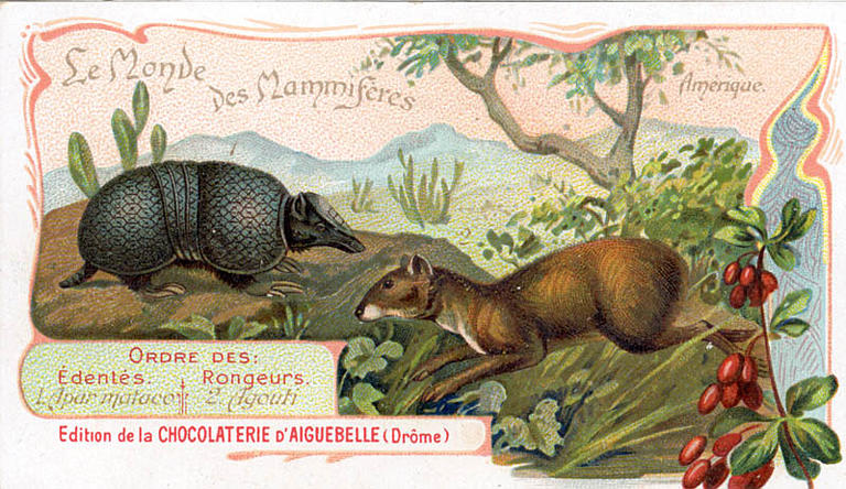 Le Monde des Mammifères (titre inscrit)_0