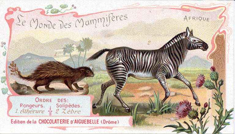 Le Monde des Mammifères (titre inscrit)_0
