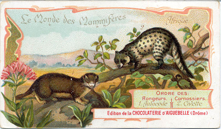 Le Monde des Mammifères (titre inscrit)_0