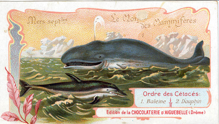 Le Monde des Mammifères (titre inscrit)_0