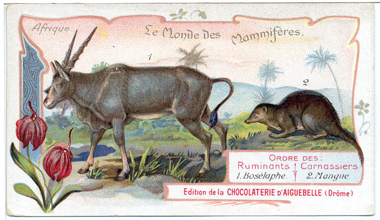 Le Monde des Mammifères (titre inscrit)_0