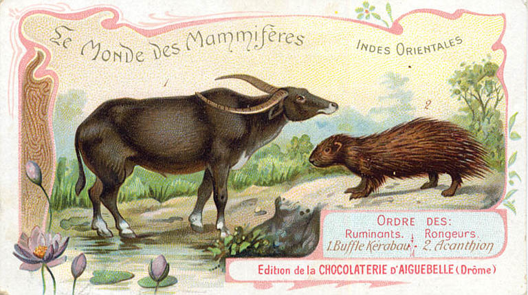 Le Monde des Mammifères (titre inscrit)_0