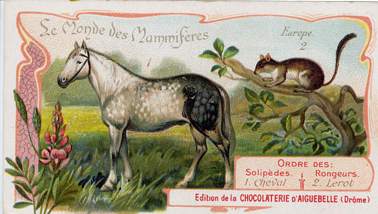 Le Monde des Mammifères (titre inscrit)_0