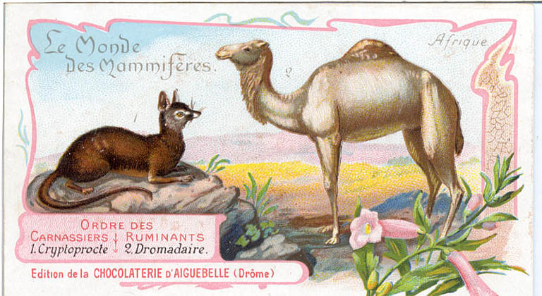 Le Monde des Mammifères (titre inscrit)_0