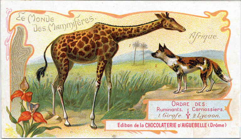 Le Monde des Mammifères (titre inscrit)_0