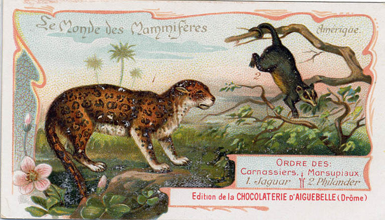 Le Monde des Mammifères (titre inscrit)_0