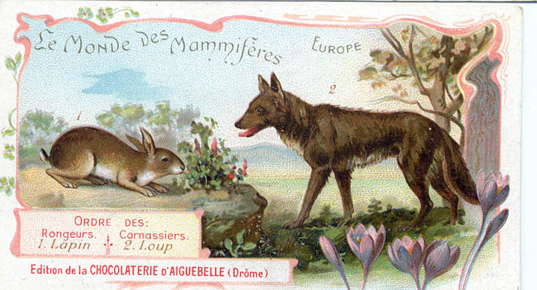 Le Monde des Mammifères (titre inscrit)_0
