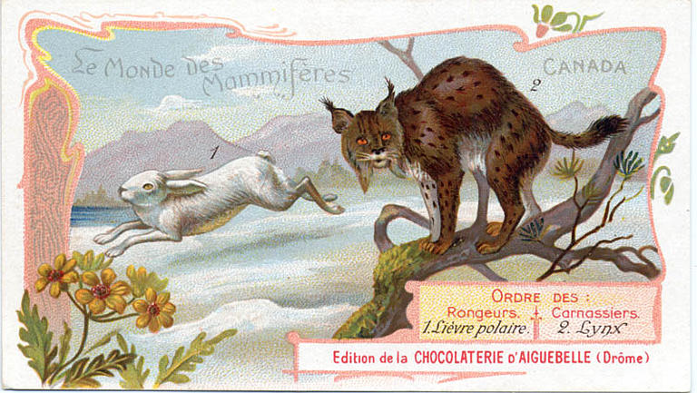 Le Monde des Mammifères (titre inscrit)_0