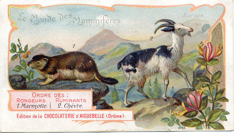 Le Monde des Mammifères (titre inscrit)_0