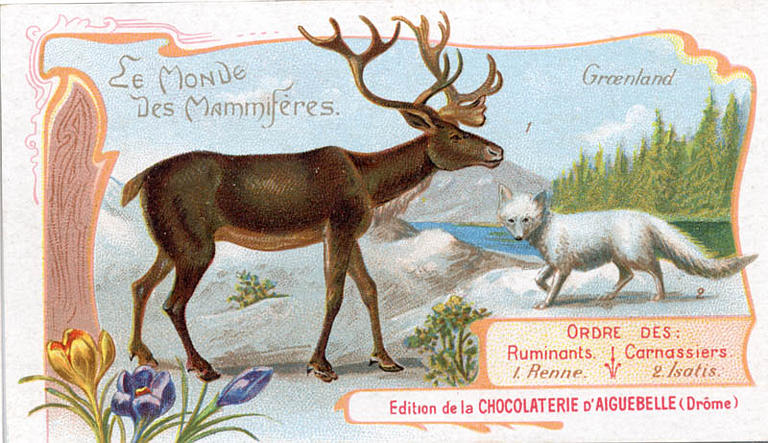 Le Monde des Mammifères (titre inscrit)_0