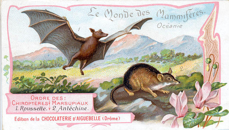Le Monde des Mammifères (titre inscrit)_0