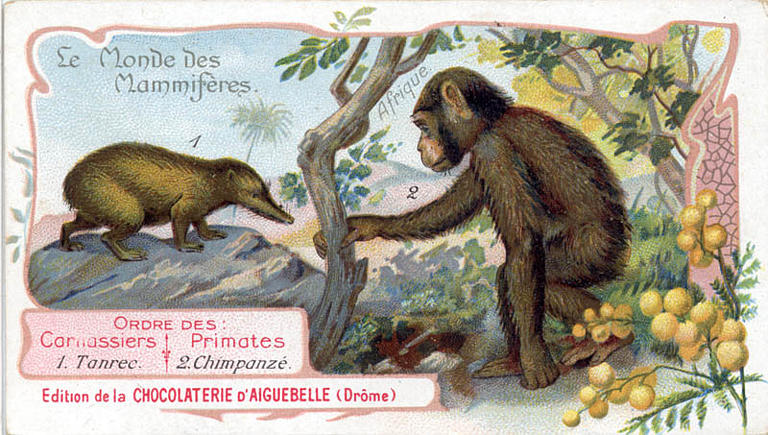 Le Monde des Mammifères (titre inscrit)_0