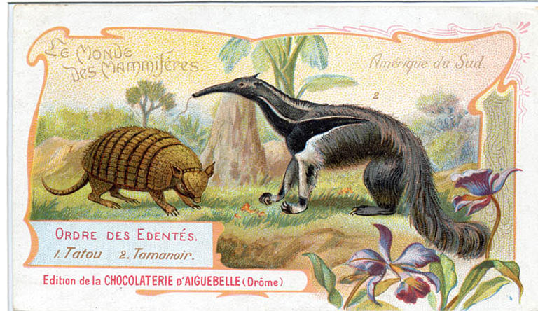 Le Monde des Mammifères (titre inscrit)_0